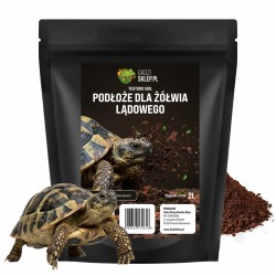 Podłoże dla żółwi do terrarium