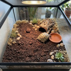 Podłoże dla żółwi do terrarium