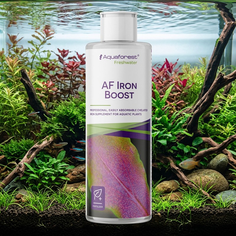 Aquaforest Iron Boost - nawóz żelazowy do akwarium