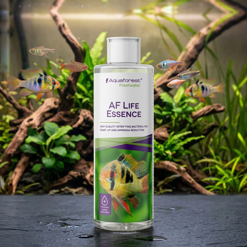 Aquaforest Life Essence - bakterie nitryfikacyjne do akwarium