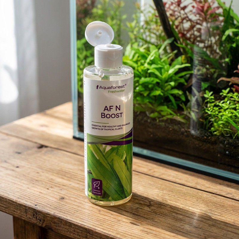 Aquaforest N Boost - nawóz azotowy do akwarium