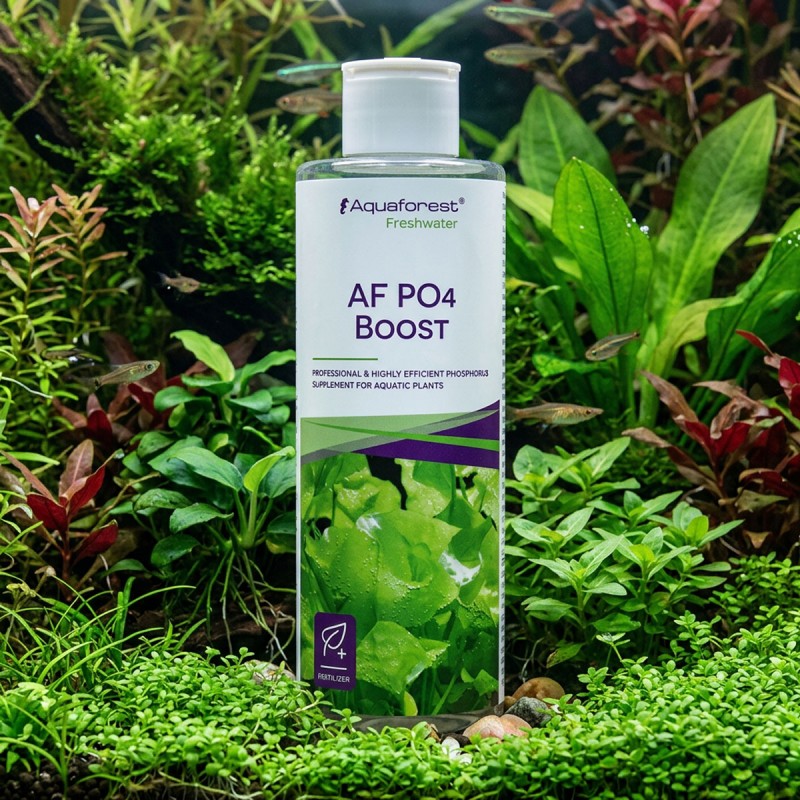 Aquaforest PO4 Boost - nawóz fosforowy do akwarium