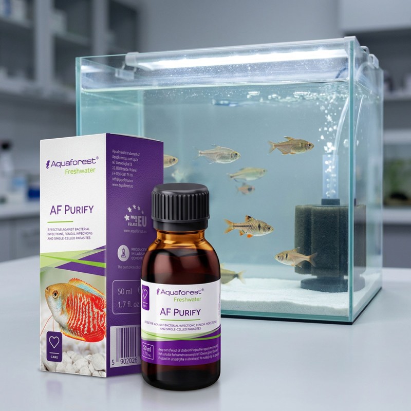 Aquaforest Purify - preparat na ospę rybią do akwarium