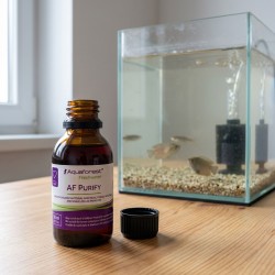 Aquaforest Purify - preparat na ospę rybią do akwarium