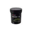 Wapń z D3 REPTI PLANET