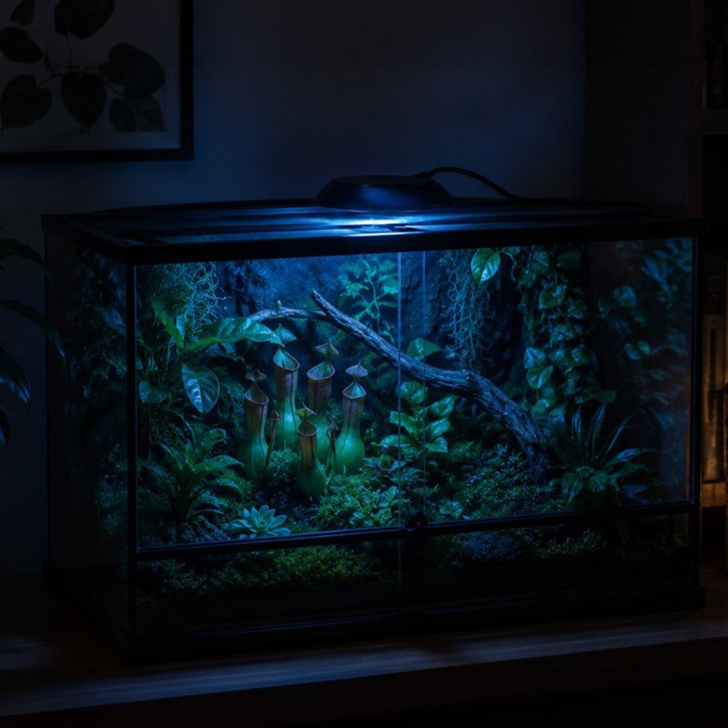 Terrario Nanoray Mini LED 6W - oświetlenie do terrarium 3w1
