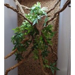 Terrarium z wyposażeniem dla kameleona Terrarium z wyposażeniem dla kameleona