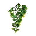 EXO TERRA Amapallo Small 32cm