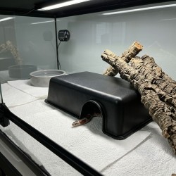 Kryjówka do terrarium plastikowa czarna ExoPlanet Kryjówka do terrarium plastikowa czarna ExoPlanet