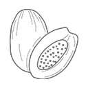 BioGecko Food - Karma dla Gekonów Banan-Papaja z Owadami