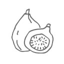 BioGecko Food - Karma dla Gekonów Banan-Smoczy Owoc z Owadami