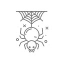 Holconia murrayensis - Huntsman Spider