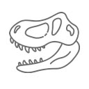 Czaszka Dinozaura T-Rex mała