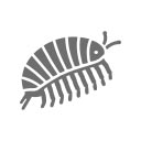Dlaczego warto wybrać Armadillidium officinalis?