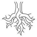 Dlaczego warto wybrać korzeń Buddha DriftWood?