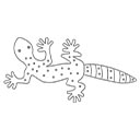 Czerwone podłoże do terrarium - więcej niż dekoracja