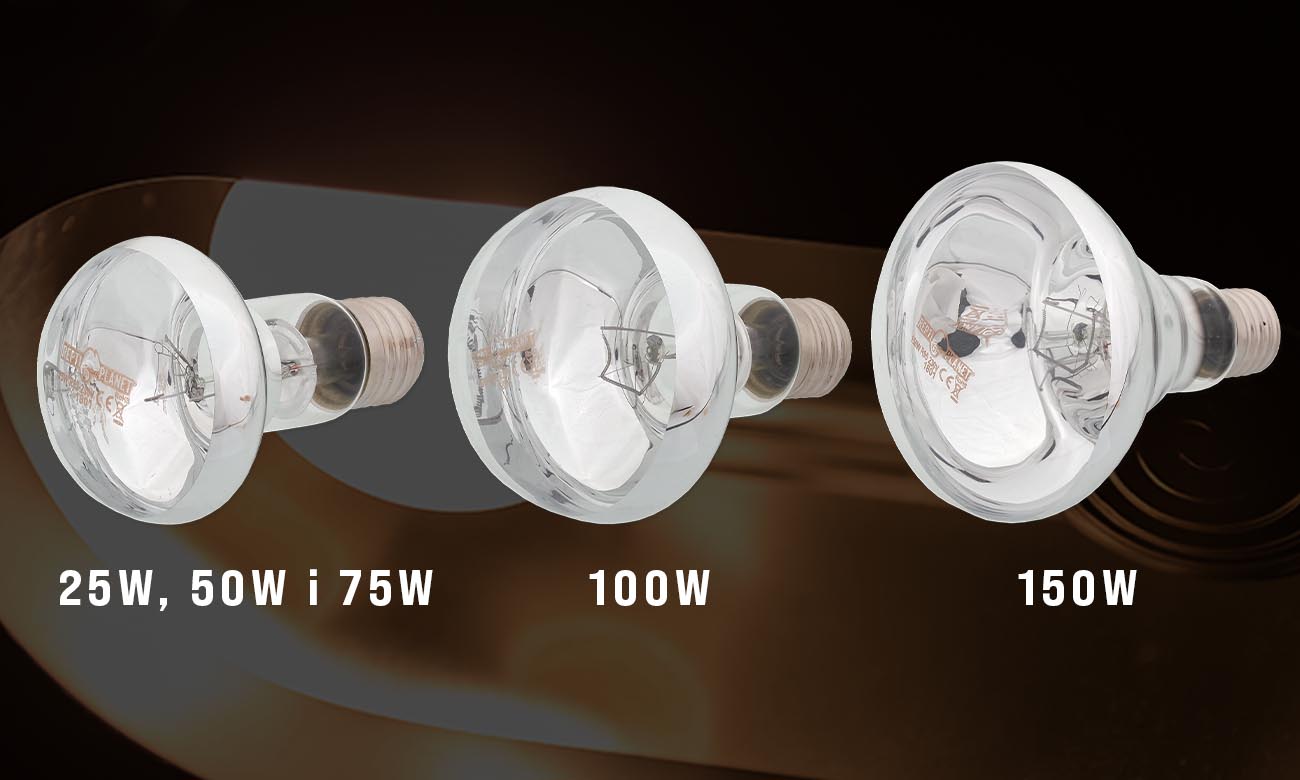 Żarówka grzewcza punktowa 25W, 50W, 75W, 100W i 150W