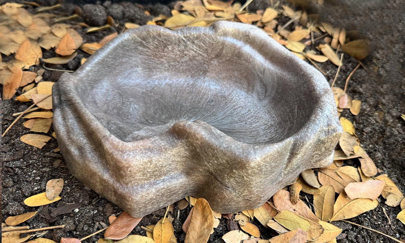 Budowa miski na wodę Repti Rock Water Dish L