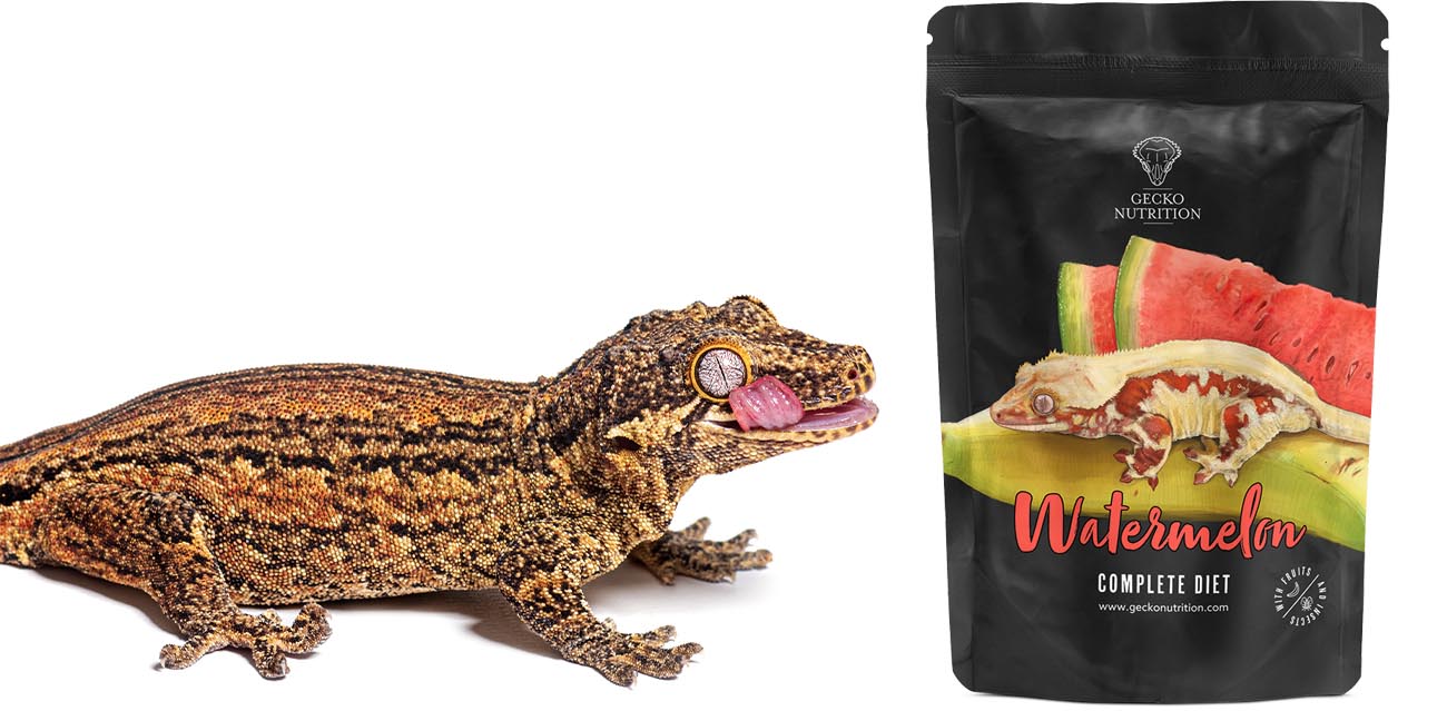 Gecko Nutrition Banan Arbuz
