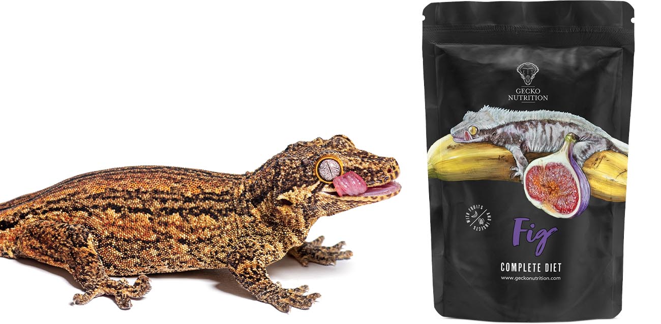 Gecko Nutrition Banan Figa