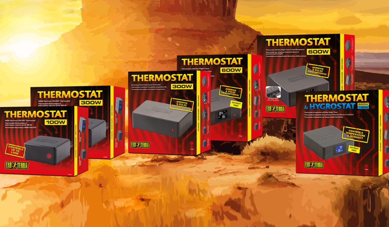 Kontroluj temperaturę Termostatem 100W i 300W EXO TERRA