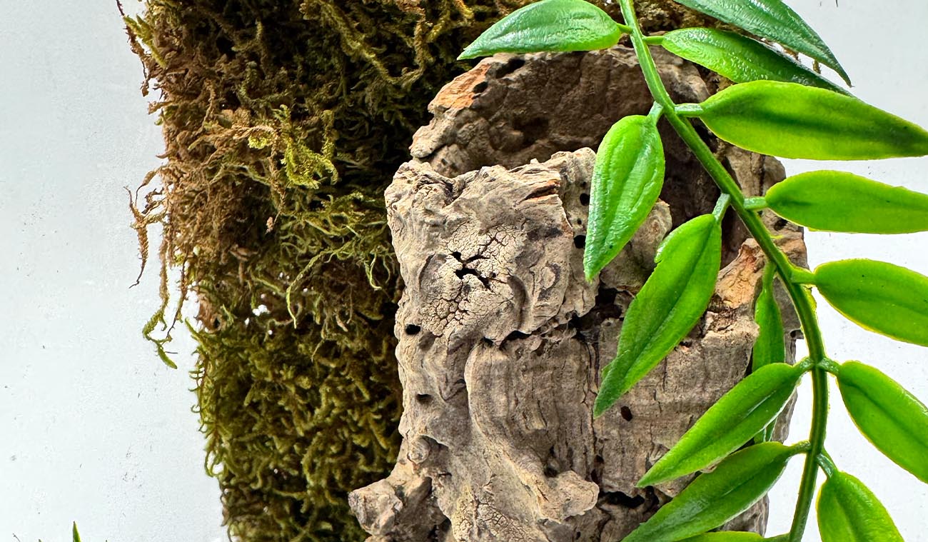 Ścianka z mchem do terrarium