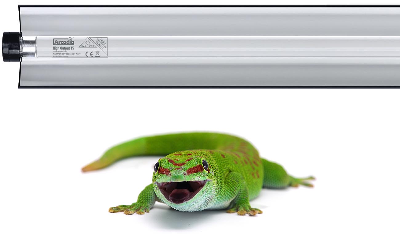 Zestaw lampa Pro T5 UVB Kit + Świetlówka 6% UVB