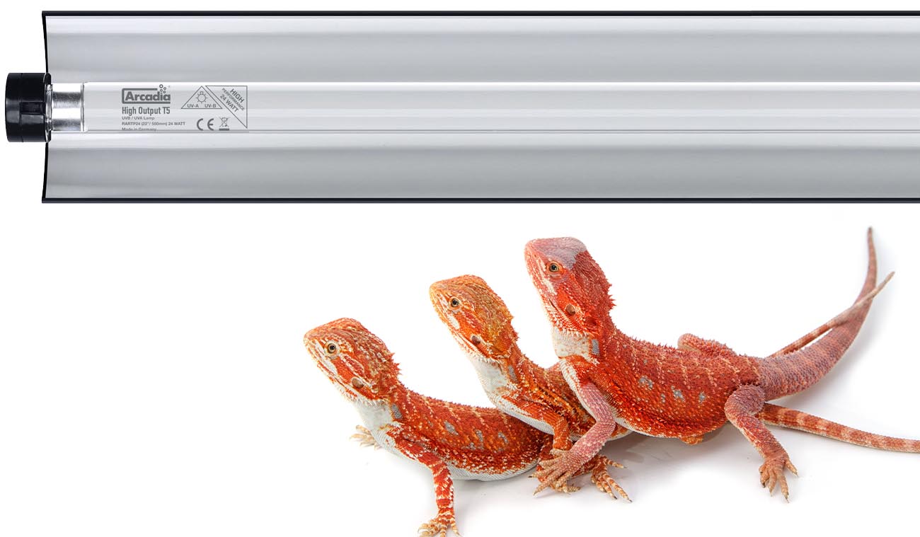 Zestaw lampa Pro T5 UVB Kit + Świetlówka 12% UVB