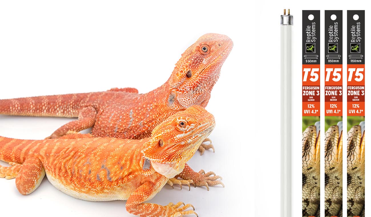 Świetlówka UVB 12% T5 Zone 3 Reptile Systems