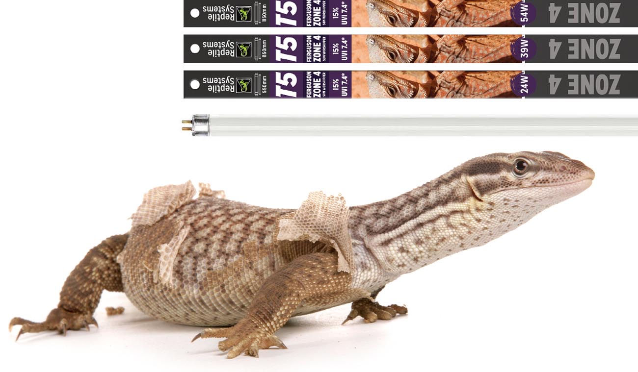 Świetlówka UVB 15% ZONE 4 Reptile Systems