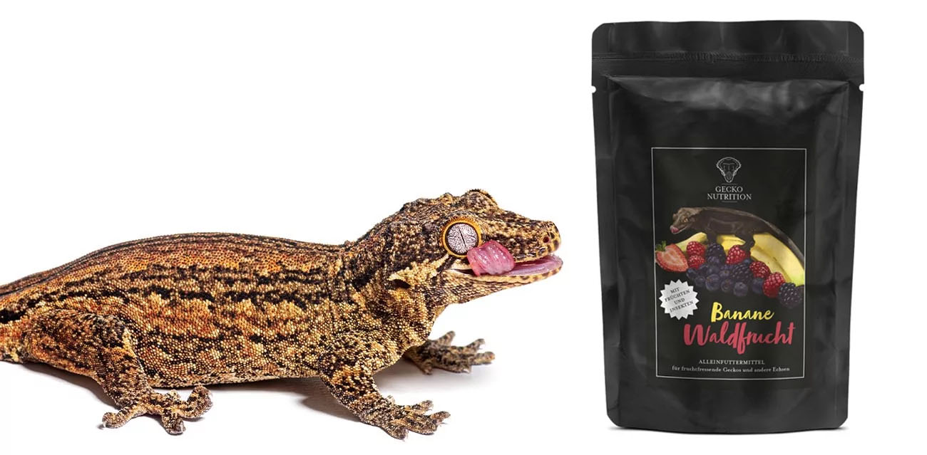 Gecko Nutrition Banan i Owoce Jagodowe