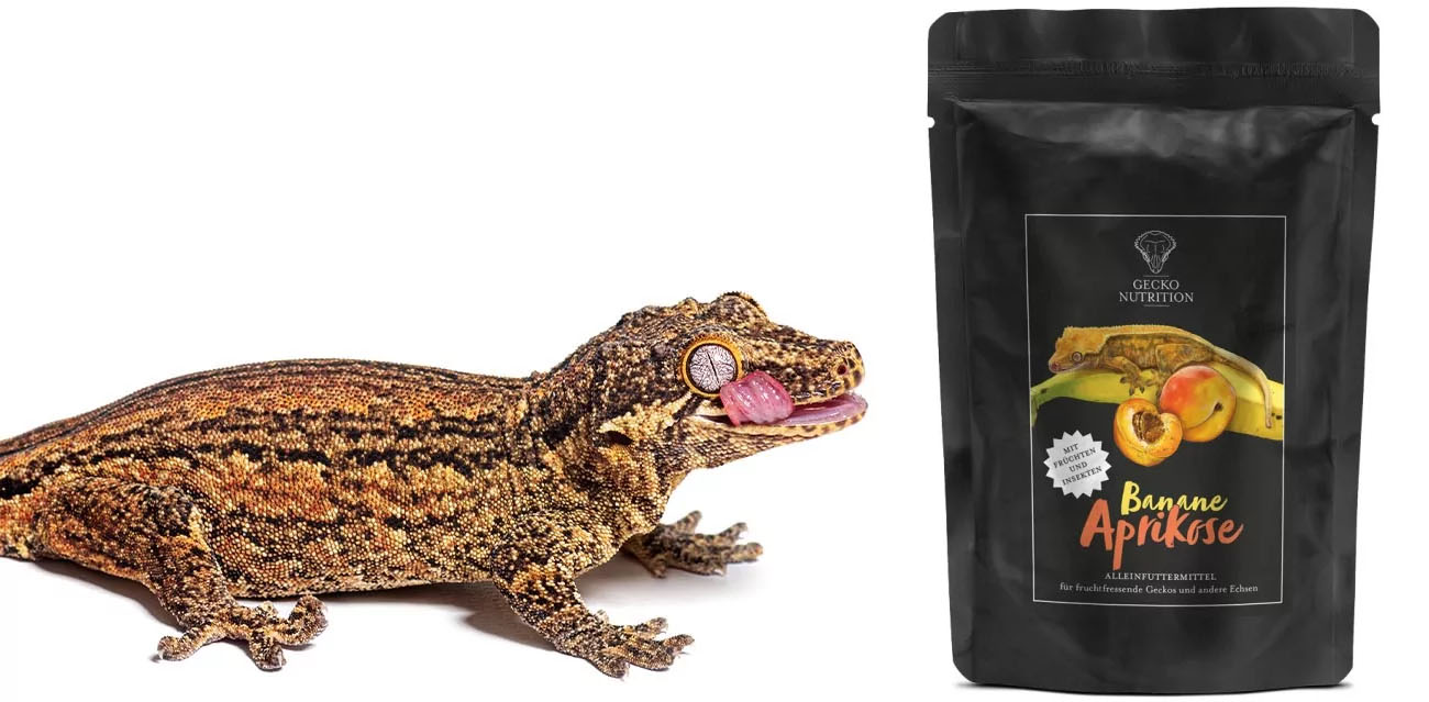 Gecko Nutrition Morela i Banan