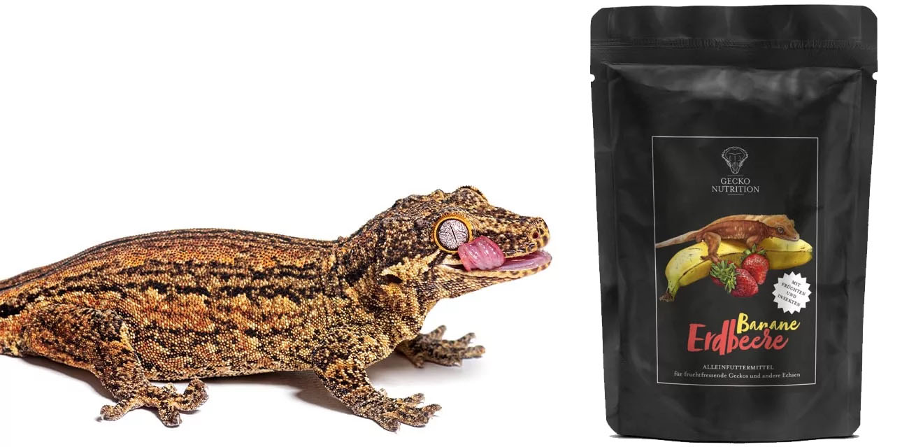 Gecko Nutrition Truskawka i Banan