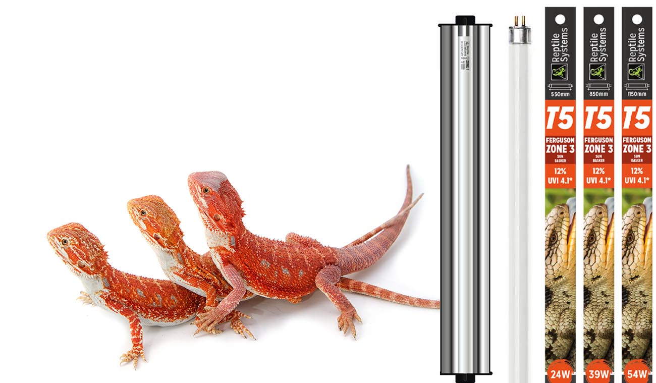 Zestaw ECO T5 UNIT 12% UVB ZONE 3 Reptile Systems