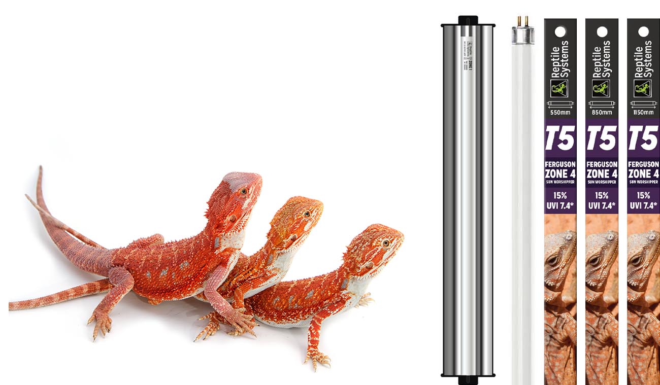 Zestaw ECO T5 UNIT 15% UVB ZONE 4 Reptile Systems