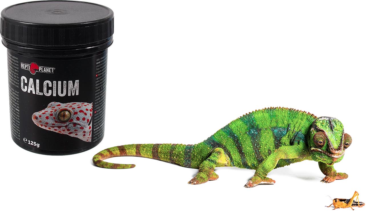 Wapń bez D3 REPTI PLANET