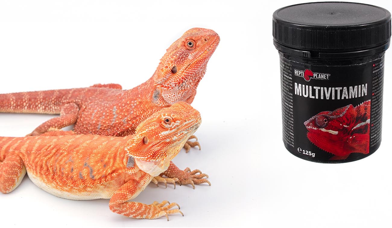 Multiwitamina - witaminy z D3 Repti Planet