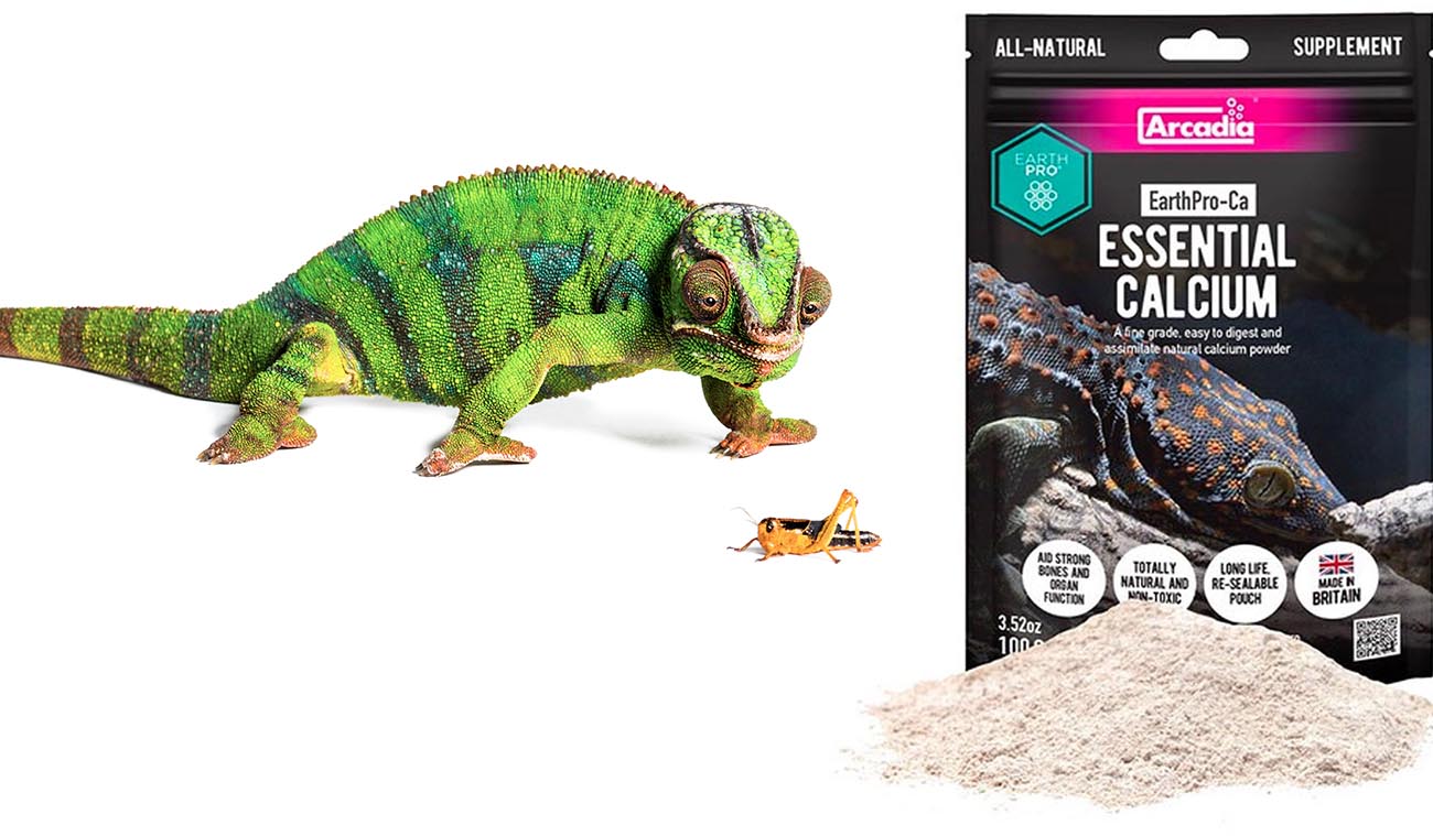Wapń bez D3 EarthPro-Ca ARCADIA