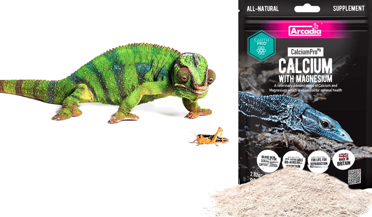 Wapń z magnezem (bez D3) EarthPro Calcium Pro-Mg ARCADIA