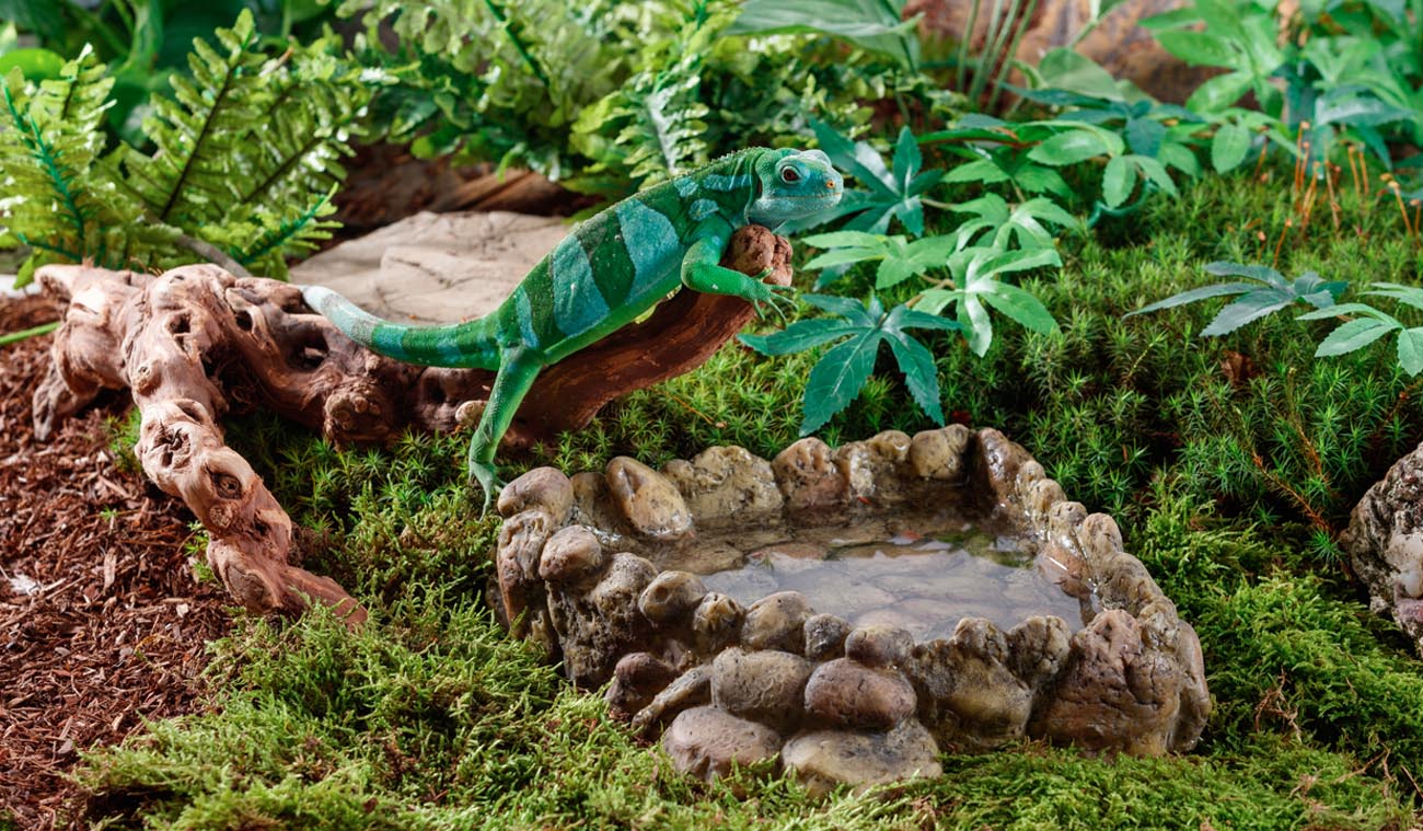 Miska narożna na wodę do Terrarium 13cm