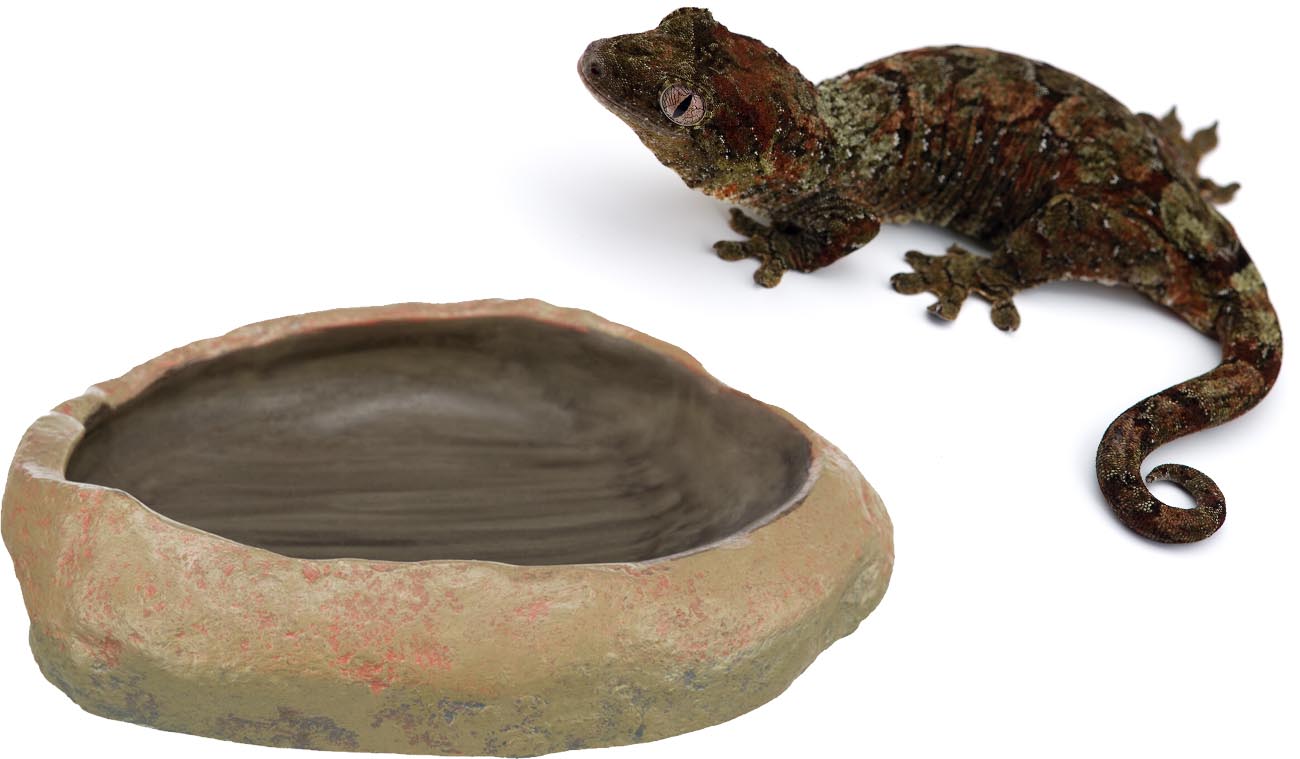 Miska na wodę i jedzenie do terrarium 15x3,5x12 cm