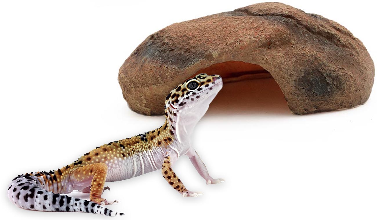 Kryjówka Duch Pustyni S 16cm ATD