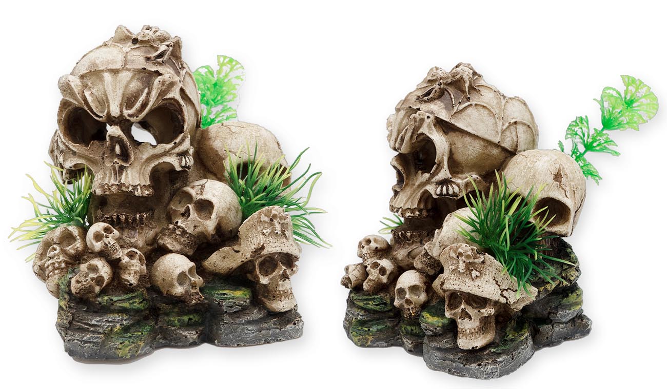 Dekoracyjne czaszki ludzkie do terrarium i akwarium