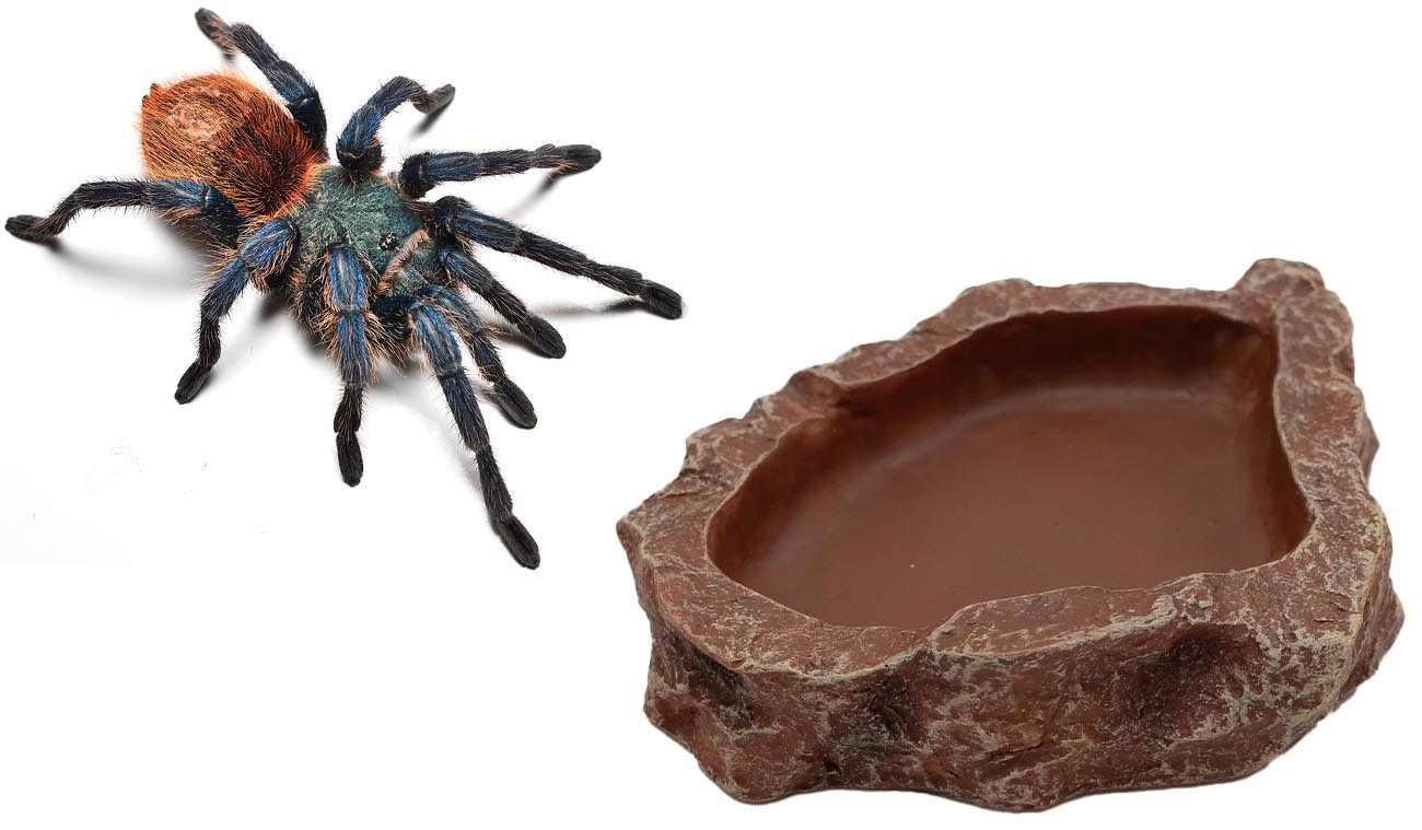 Mała miseczka do terrarium dla gadów, płazów i pajęczaków
