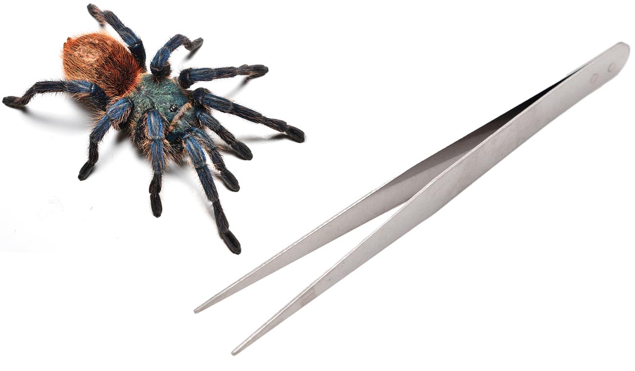 Pinceta miękka prosta 12cm