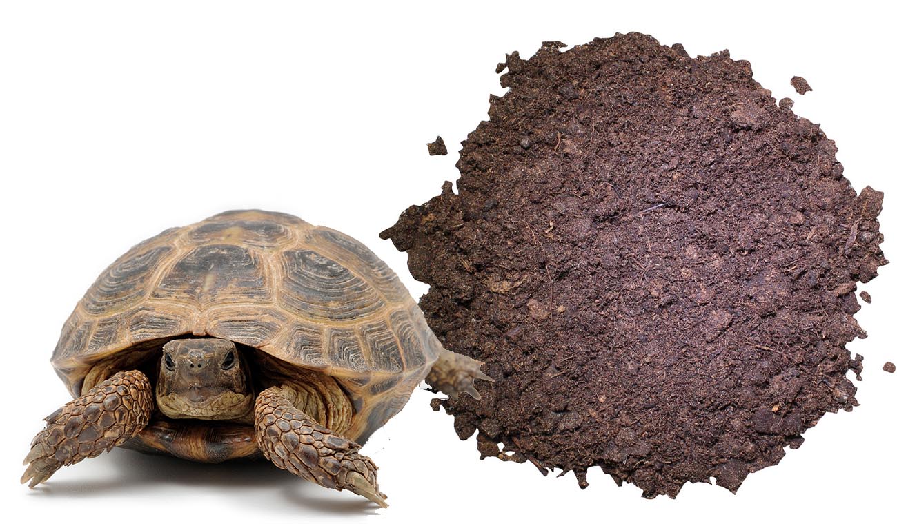 Podłoże dla żółwi lądowych Lucky Reptile