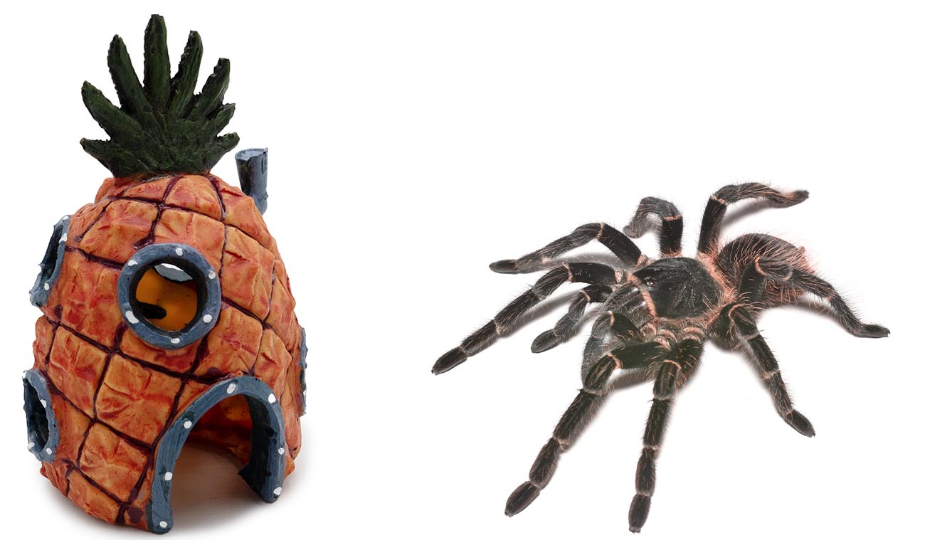 Domek Ananas - zmniejsza stres u zwierzaka