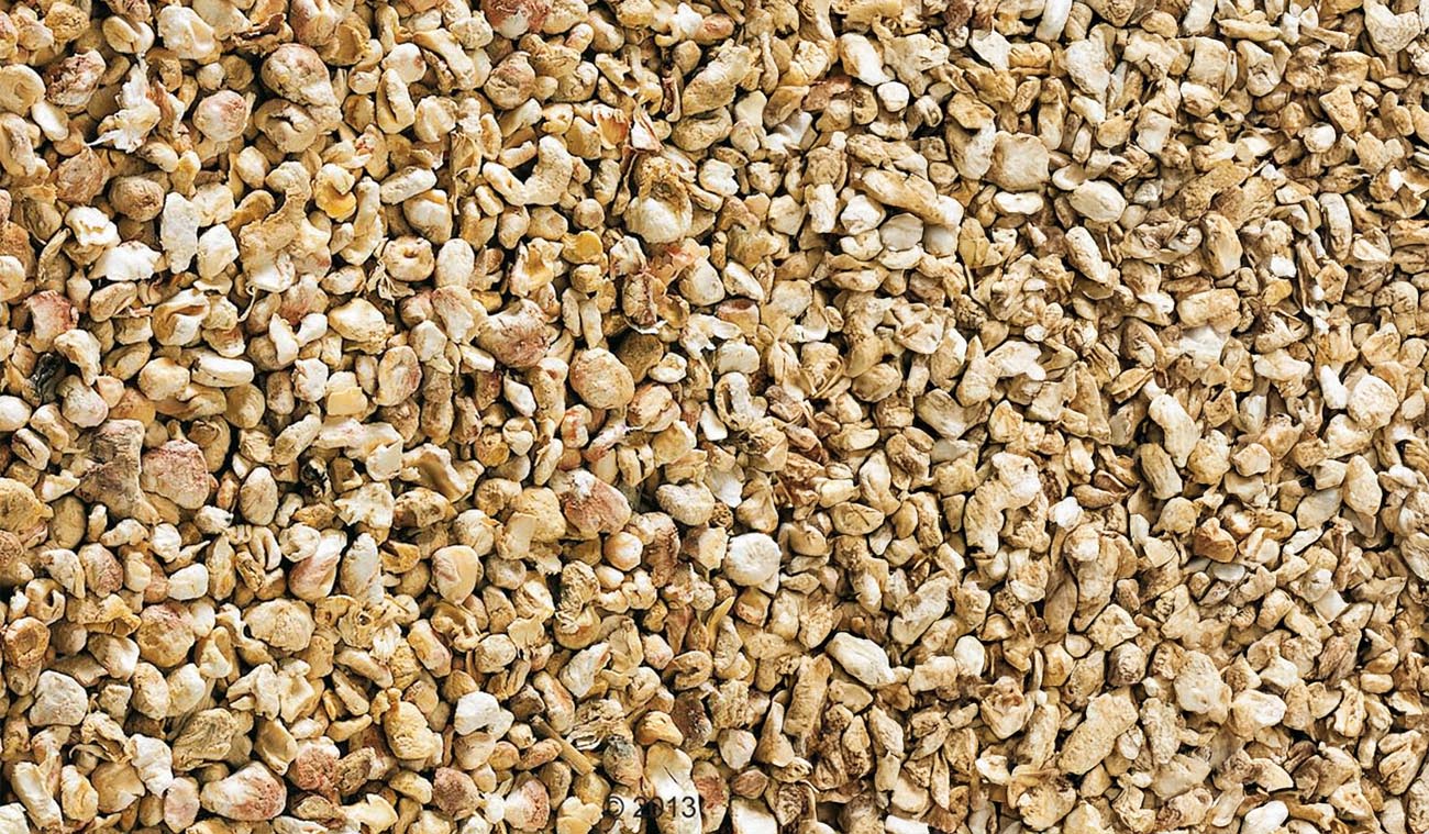 Dlaczego Chipsi Mais wybierane jest przez hodowców?