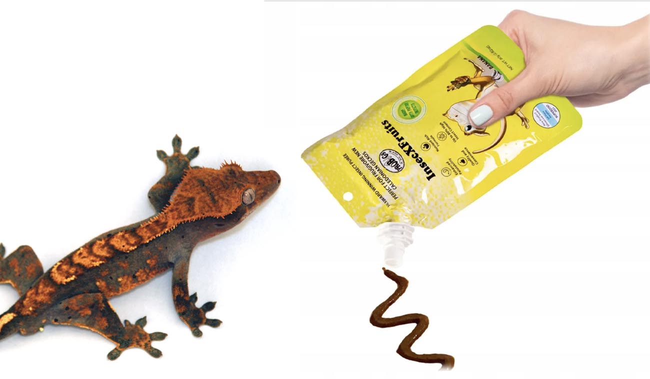Pokarm i witaminy w żelu InsecXFruits ProBugs
