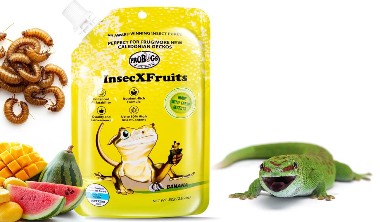 Dlaczego warto wybrać pokarm InsecXFruits ProBugs